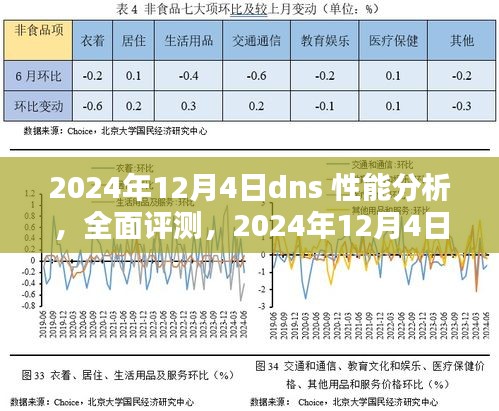 2024年DNS性能深度分析，全面评测与性能探讨