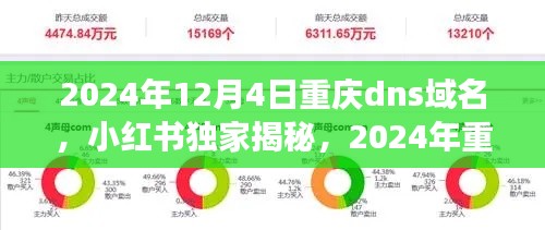 小红书独家揭秘，2024年重庆DNS域名大解析，你准备好了吗？