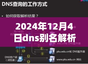 引领新时代的网络解析技术，2024年DNS别名解析技术解析