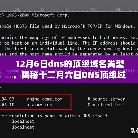 揭秘12月6日DNS顶级域名类型，深度解析与技术洞察
