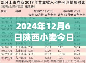 陕西小麦热门价格动态，逆袭之路、展望2024年小麦价格展望，学习变化与自信成就梦想之路