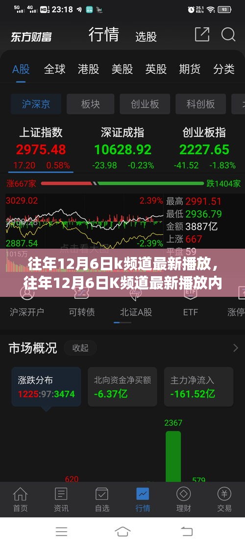 往年12月6日K频道最新播放内容深度解析，特性、用户体验与目标用户群体评测报告