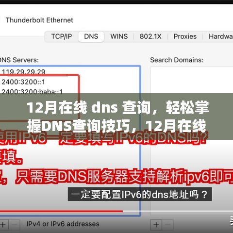 12月在线DNS查询详解，轻松掌握技巧与步骤指南