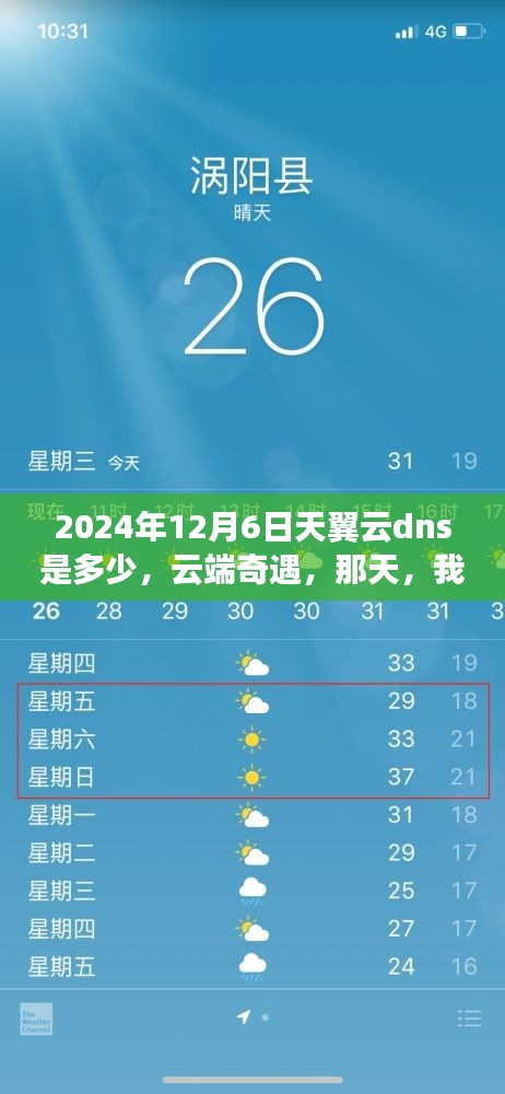 云端奇遇，我与天翼云DNS的奇妙邂逅（2024年12月6日DNS查询）