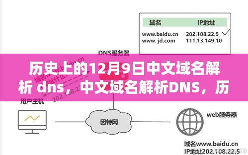 历史上的12月9日，中文域名解析DNS的详细操作指南及解析历程回顾