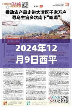 2024年12月9日西平新闻快报，昨夜动态概览及最新消息