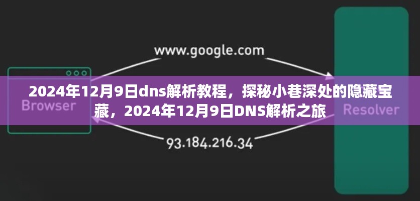 探秘宝藏之地，2024年DNS解析教程之旅（日期，12月9日）