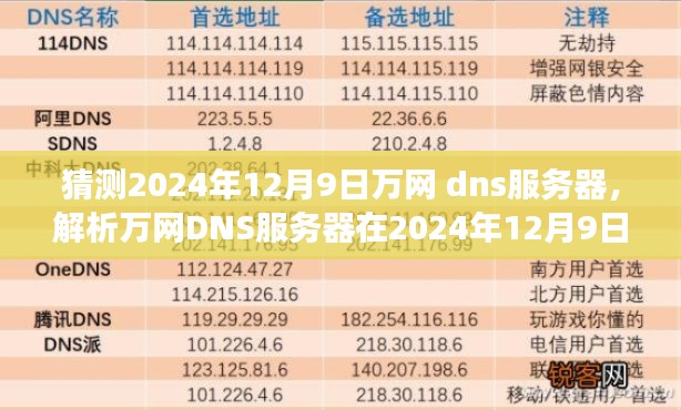 我的观点，预测万网DNS服务器在2024年12月9日的可能发展及影响解析与猜测