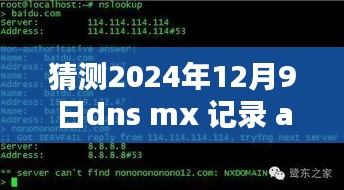 建议，，预测未来，2024年12月9日DNS MX与A记录的走向猜测