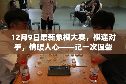 温馨的象棋大赛日常，高手对决，情感交融