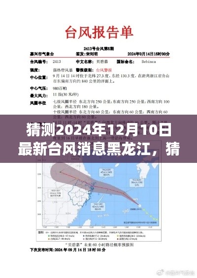 2024年12月10日黑龙江最新台风动态预测与全方位解读，准备应对挑战