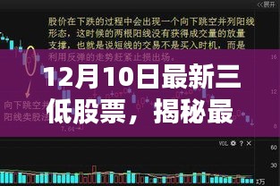 揭秘最新三低股票，深度解读十二月十日股市风云背后的故事