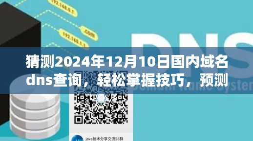 初学者指南，预测与掌握技巧——如何查询国内域名DNS解析步骤（预测至2024年）