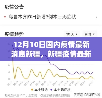 12月10日新疆疫情最新动态与深度观察，影响回顾及最新消息