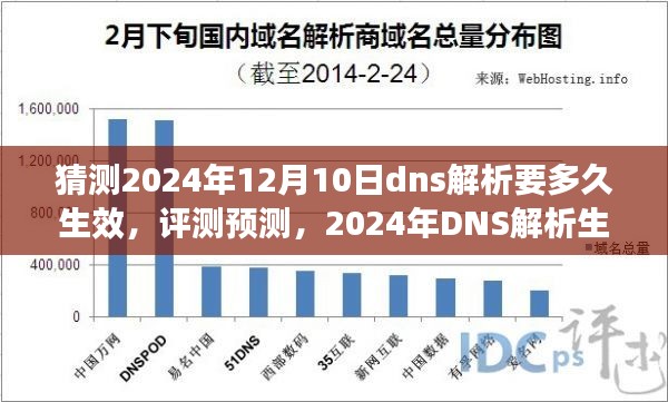 2024年DNS解析生效时长预测及用户体验分析，12月10日DNS解析生效时间评测