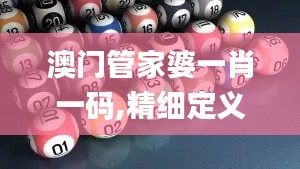 澳门管家婆一肖一码,精细定义探讨_WP7.895