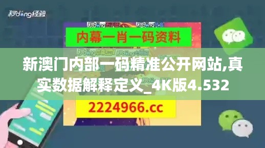 新澳门内部一码精准公开网站,真实数据解释定义_4K版4.532