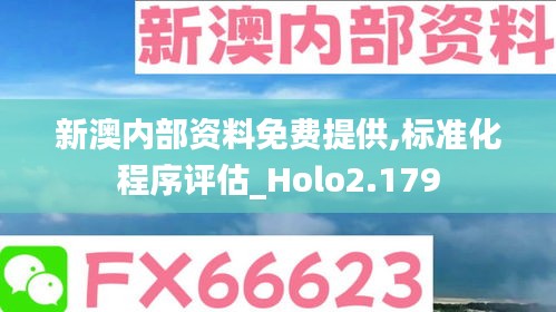 新澳内部资料免费提供,标准化程序评估_Holo2.179