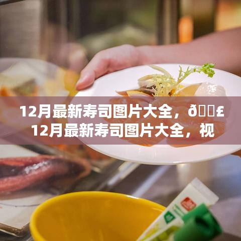 12月最新寿司图片集锦，视觉盛宴，尽享美食魅力！