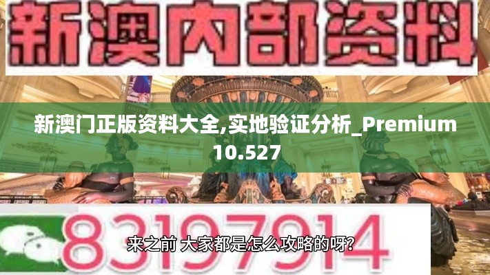 新澳门正版资料大全,实地验证分析_Premium10.527