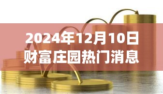 探秘财富庄园的秘密角落，宝藏小巷的热门消息（2024年12月10日）