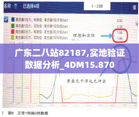 广东二八站82187,实地验证数据分析_4DM15.870