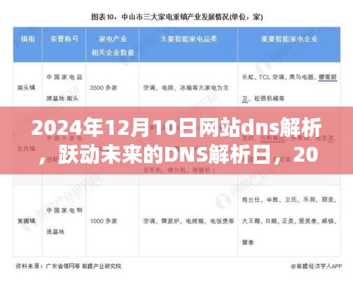 跃动未来的DNS解析日，学习引领自信之路开启之旅