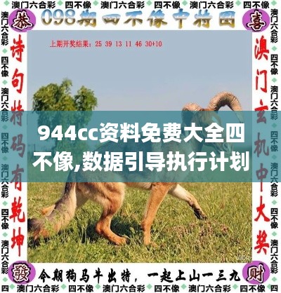 944cc资料免费大全四不像,数据引导执行计划_静态版8.876