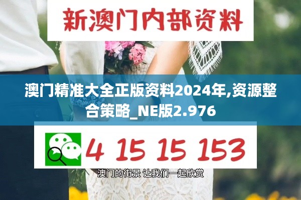 澳门精准大全正版资料2024年,资源整合策略_NE版2.976