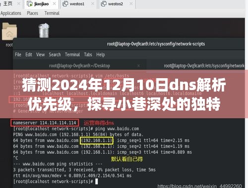 未来DNS解析优先权与美食秘境探寻，小巷深处的独特美味预测至2024年12月10日。