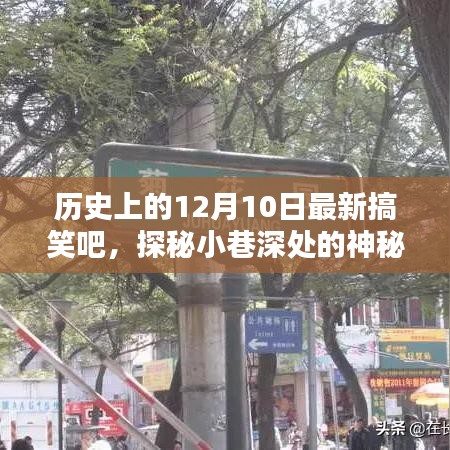 探秘历史宝藏，神秘乐园与搞笑宝藏店，揭秘十二月十日趣事横生的小巷内幕