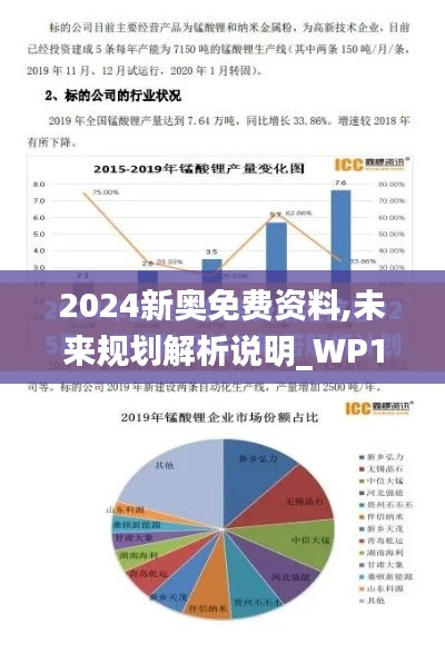 2024新奥免费资料,未来规划解析说明_WP16.482