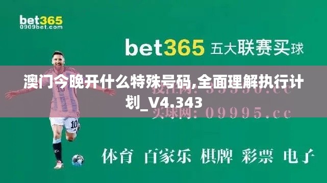 澳门今晚开什么特殊号码,全面理解执行计划_V4.343