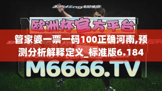 管家婆一票一码100正确河南,预测分析解释定义_标准版6.184