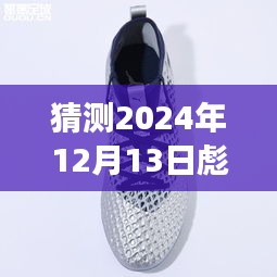 预测与回顾彪马在特定时代背景下的成长与未来展望（至2024年视角）