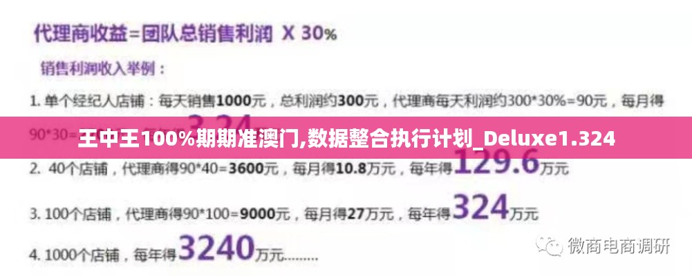 王中王100%期期准澳门,数据整合执行计划_Deluxe1.324