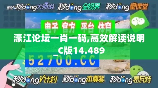 濠江论坛一肖一码,高效解读说明_C版14.489