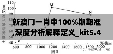 新澳门一肖中100%期期准,深度分析解释定义_kit5.415