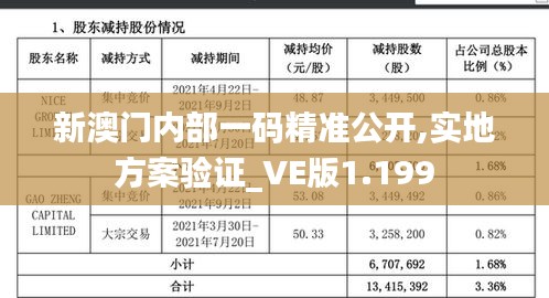 新澳门内部一码精准公开,实地方案验证_VE版1.199