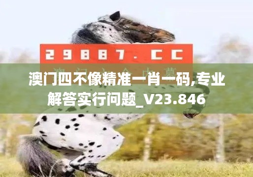 澳门四不像精准一肖一码,专业解答实行问题_V23.846