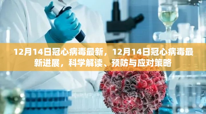 最新进展解读，冠心病毒的科学预防与应对策略（12月14日更新）