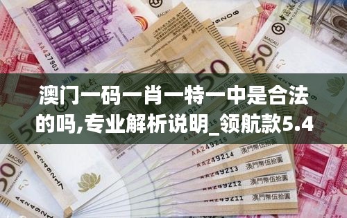 澳门一码一肖一特一中是合法的吗,专业解析说明_领航款5.428