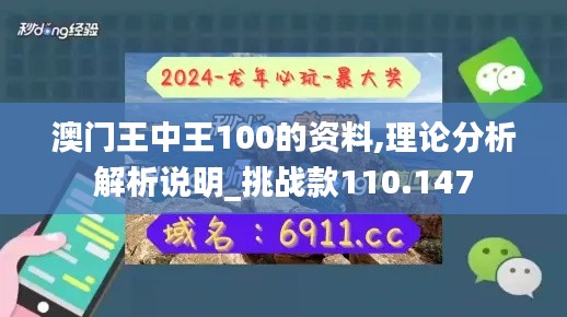 澳门王中王100的资料,理论分析解析说明_挑战款110.147