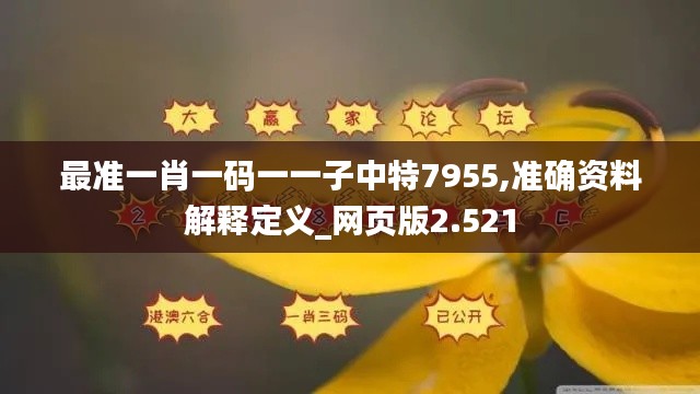 最准一肖一码一一子中特7955,准确资料解释定义_网页版2.521