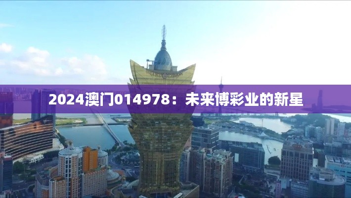 2024澳门014978：未来博彩业的新星