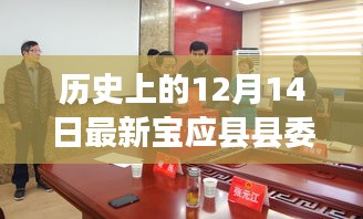 宝应县县委常委新任命的步骤指南，从初学者到进阶用户的实用指南（12月14日更新版）