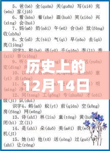 历史上的12月14日拼音字学习指南及最新拼音字概览