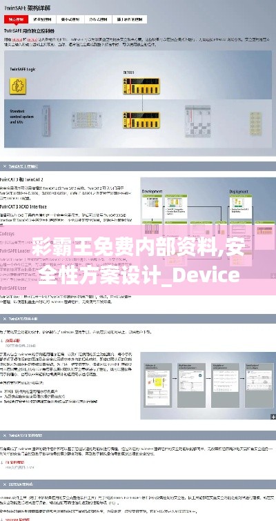 彩霸王免费内部资料,安全性方案设计_Device8.841