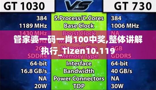 管家婆一码一肖100中奖,整体讲解执行_Tizen10.119