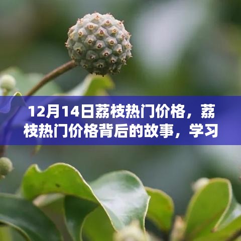 荔枝热门价格背后的故事，变化的力量与自信的果实揭秘